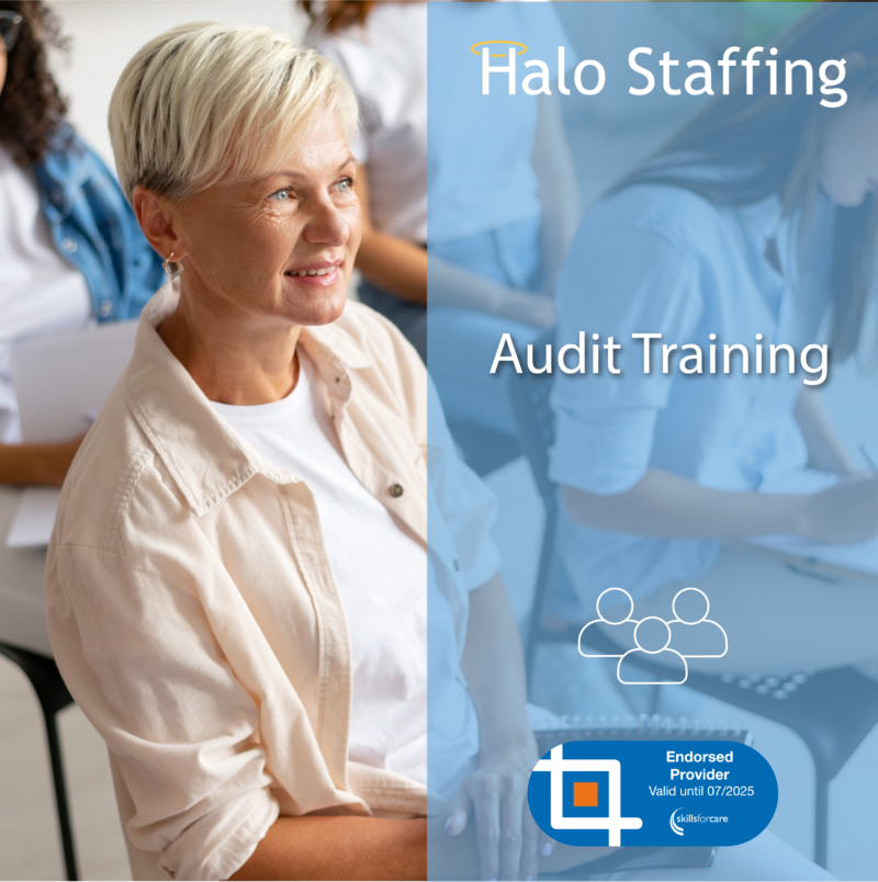 Audit Training Halo Staffing   Audit Training 800x804 